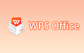 WPS Office 专业增强版 12.8.2.18205 附序列号激活